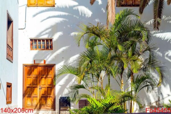 small spanish patio with palm trees and banch. old wooden door and windows in garachico, tenerife, spain