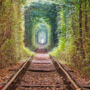 trees tunnel