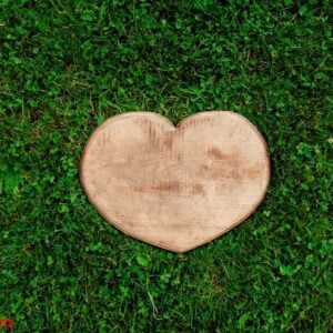 heart shape of wood, cut out in green grass