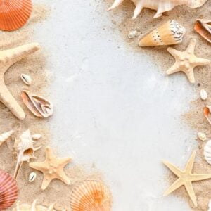 beautiful sea shells, starfishes and sand on light background