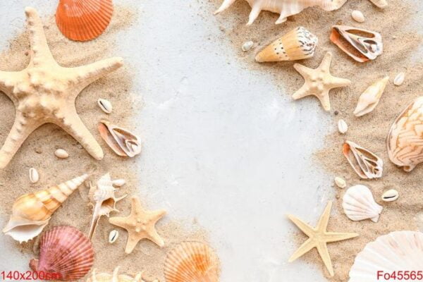 beautiful sea shells, starfishes and sand on light background