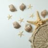 straw bag and seashells on white background