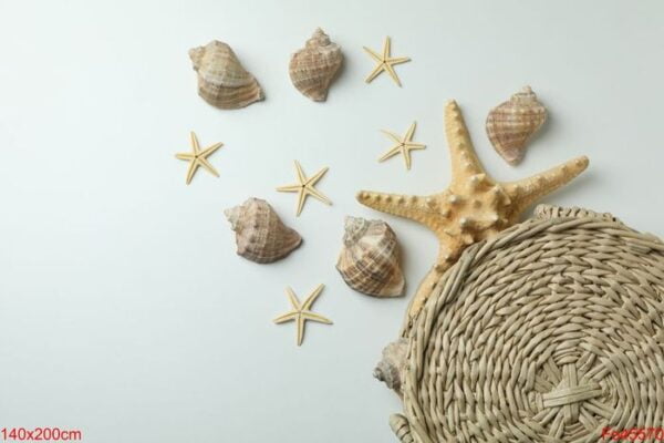 straw bag and seashells on white background