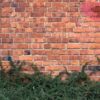 red brick wall and bushes in park