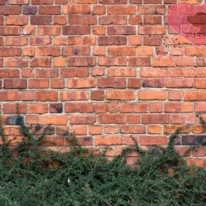 red brick wall and bushes in park