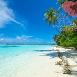 tropical maldives island with white sandy beach and sea