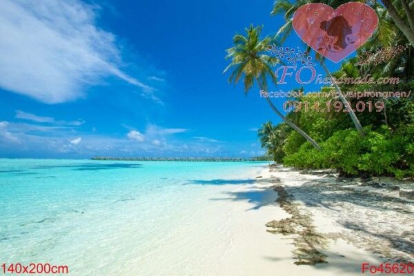 tropical maldives island with white sandy beach and sea