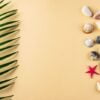 background with a collection of seashells, stones and a palm leaf