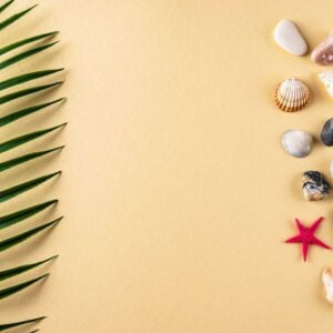 background with a collection of seashells, stones and a palm leaf