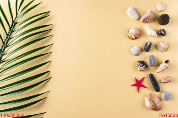 background with a collection of seashells, stones and a palm leaf