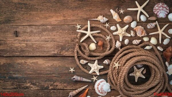 vintage sea background with seashells, starfish and rope on a brown wooden background.