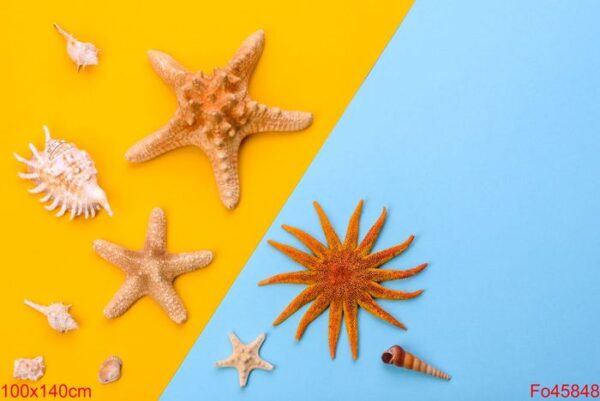 beach accessories: glasses and hat with shells and sea stars on a colored background