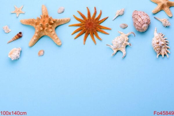 beach accessories: glasses and hat with shells and sea stars on a colored background