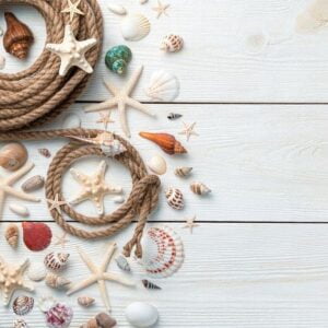 beautiful seashells, starfish and rope on a light wooden background.