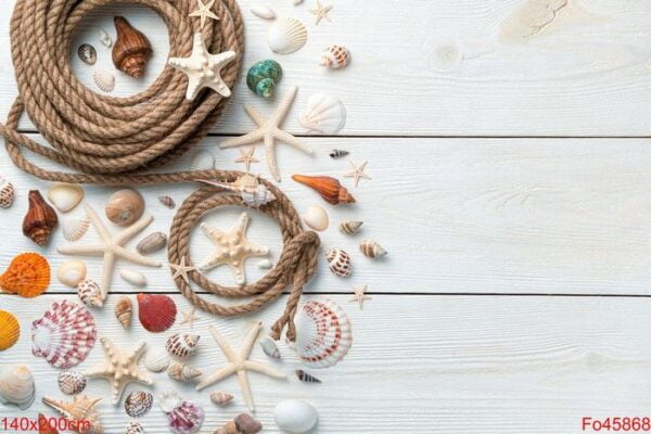 beautiful seashells, starfish and rope on a light wooden background.