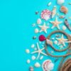 different types of seashells and starfish on a blue background with a rope.