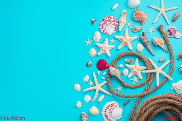 different types of seashells and starfish on a blue background with a rope.