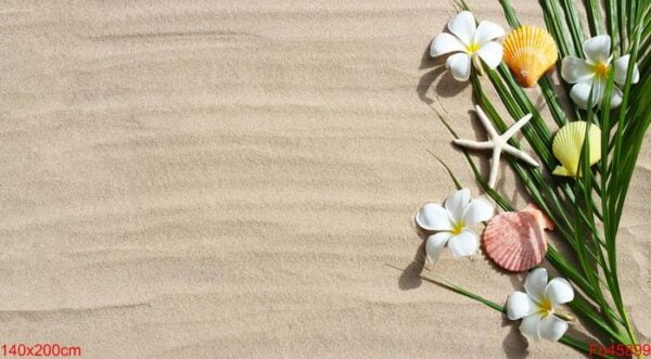 plumeria flowers with starfish and seashells on tropical palm le