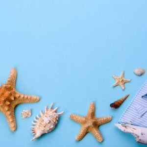 beach accessories: glasses and hat with shells and sea stars on a colored background