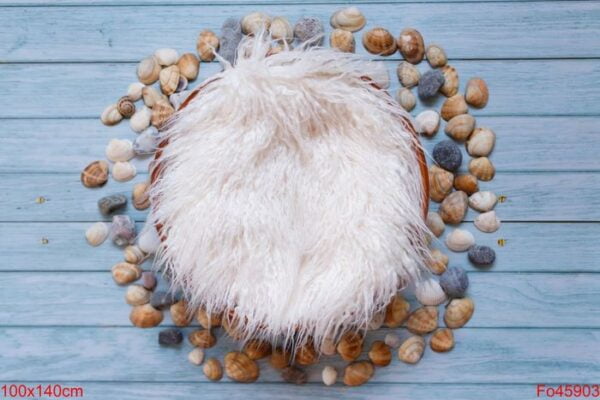sea shells newborn photography digital background prop. wall mur