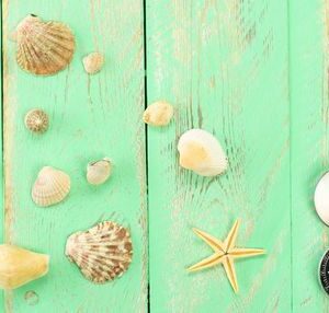 seashells and compass on blue wooden table background. summer vacation background, vacation and travel concept