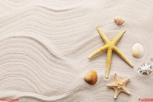 seashells on the sand with copy space, summer background