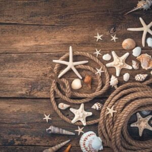 seashells, starfish of various types and shapes, a rope on a brown wooden background.