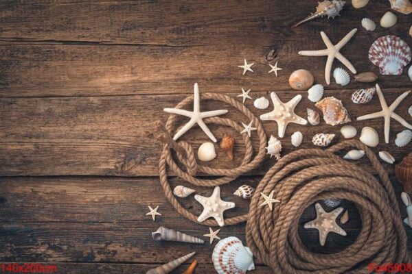 seashells, starfish of various types and shapes, a rope on a brown wooden background.