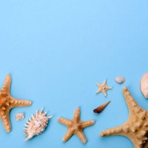 beach accessories: glasses and hat with shells and sea stars on a colored background