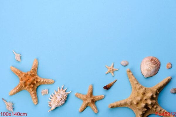 beach accessories: glasses and hat with shells and sea stars on a colored background