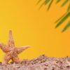 starfish on the sand on the yellow background