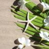 starfish with plumeria flowers on tropical palm leaves on sand.