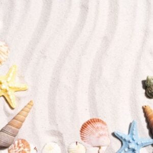 summer background with seashells and conch shells on the sand