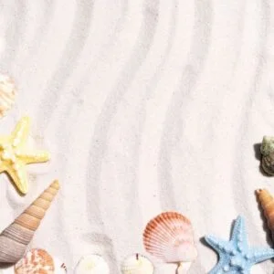 summer background with seashells and conch shells on the sand