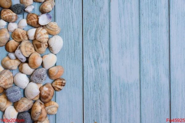 summer beach background, seashells on light blue background. top