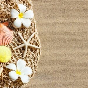 white plumeria flowers with starfish and seashells on mesh beach