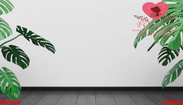 empty wall background with wooden floor and monstera plants