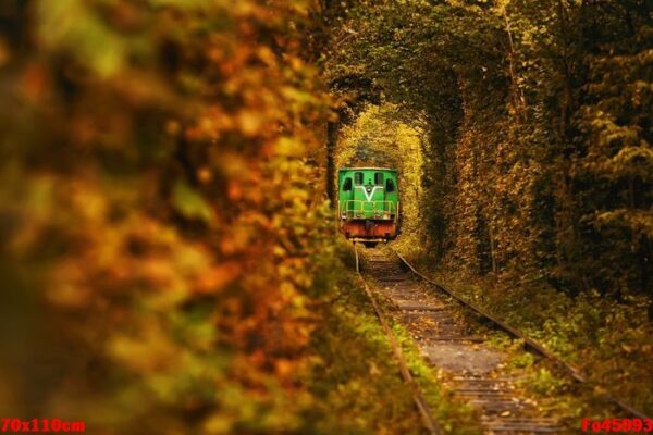 natural tunnel of love in klevan, ukraine. vintage old green tra