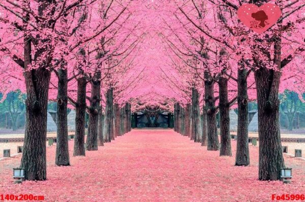 pink tree,nami island in korea