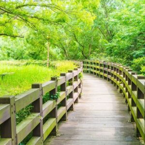 wood walkway in garden at cheonjeyeon falls , jeju island