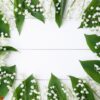 frame made of leaves of lily of the valley on a white wooden background.