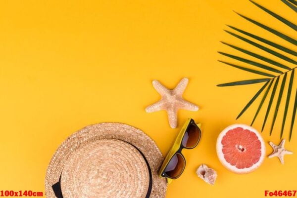 beach accessories with shells and sea stars on a colored background