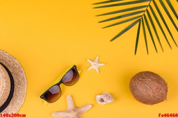 beach accessories with shells and sea stars on a colored background