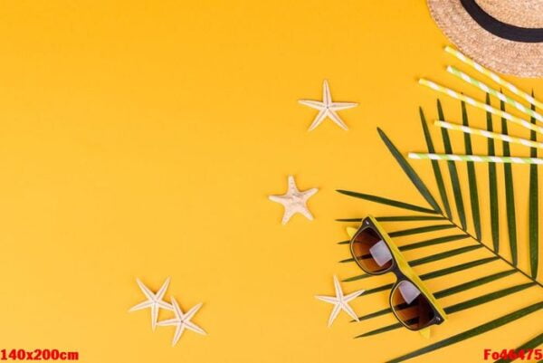 beach accessories with shells and sea stars on a colored background