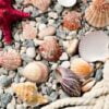 background with colorful seashells and ropes lying on seashore