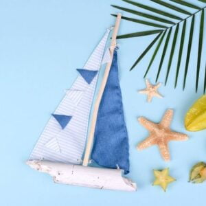 fruit carambol, beach accessories and foliage of a tropical plant on colored paper