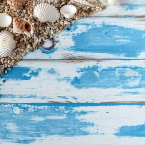 sea shells frame on vintage blue wooden board.