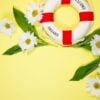 spring or summer background with copy space for text: chamomiles and petals, white flower with yellow heart. top view.