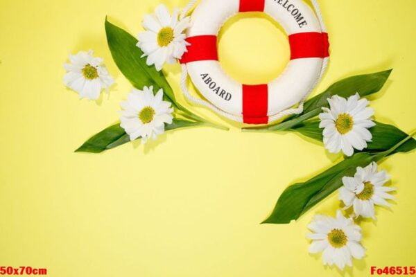 spring or summer background with copy space for text: chamomiles and petals, white flower with yellow heart. top view.