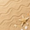 starfish and other seashells on the sand with copy space, summer